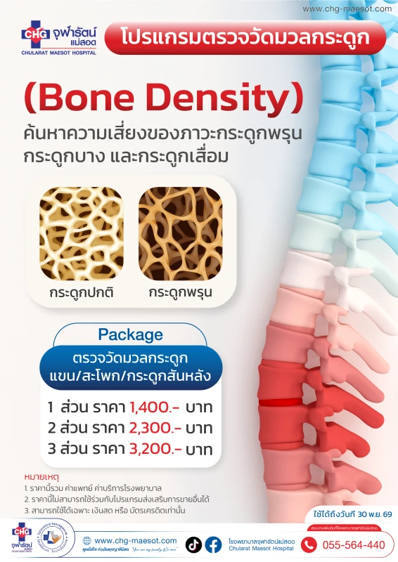 โปรแกรมตรวจวัดมวลกระดูก
